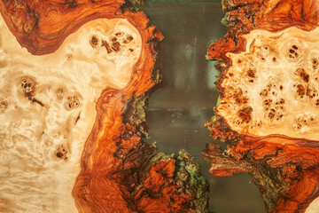 Part of a wooden table covered with epoxy resin. Top view of a tree as a background with space to copy. High quality photo