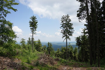 Masyw Trójgarbu, Polska
