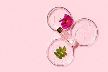 Cosmetic beauty concept with rose, rosehip flower and green leafbottle serum, drops and petri dish...