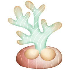 Branch green orange on stone coral illustration