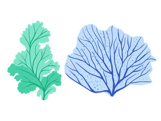 Coral Reef plants colorful nature illustration doodle elements isolated on white
