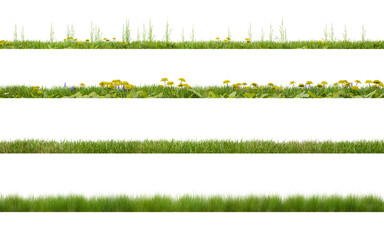 Set of spring green grass horizontal borders. Green grass collection. 3D render.
