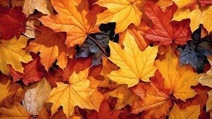 Naklejka na ściany i meble Autumn leaves vibrant in various shades. AI generated