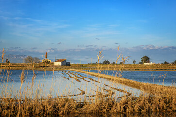 The Ebro Delta is a big wetland area and a unique natural region located in Spain.