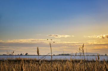 The Ebro Delta is a big wetland area and a unique natural region located in Spain.