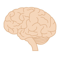 The human brain in profile. Minimal illustration with meanders. Vector 