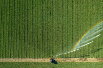 Rural field planted using hose reel system pump water from canal.Inspiring Aerial Shot.