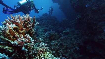Fototapeta na wymiar One divers exploring sea bottom.