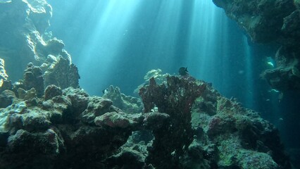 Beautiful underwater cave scenery with sunrays.