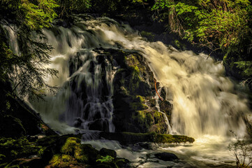 Obraz premium waterfall in the forest