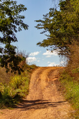 Uma paisagem com uma estrada de chão entre vegetação do cerrado goiano e céu ao fundo.
