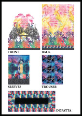 Digital Textile Prints - Floral and Digital design for shirt - Indian Motifs 
