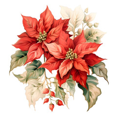 Winter Poinsettias Watercolor Clipart Illustration, Chirstmas Decoration, Winter Flower Watercolor, made with generative AI 