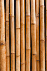 Natural bamboo wall close-up