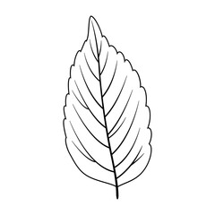 Leaf icon vector. Plant illustration sign. Tree symbol or logo.