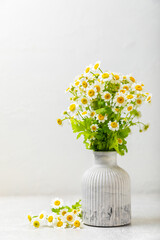 Bouquet of daisies in a gray marble concrete vase. Spring-summer fragrant bouquet of wild flowers. Composition on texture wooden background. Time relax. seasonal composition.