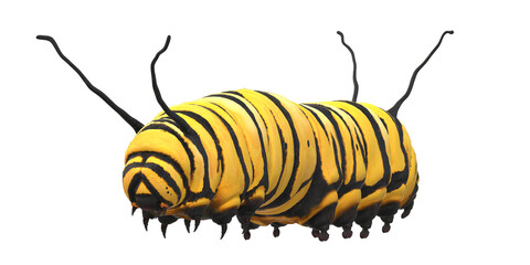 Caterpillar isolated on a Transparent Background
