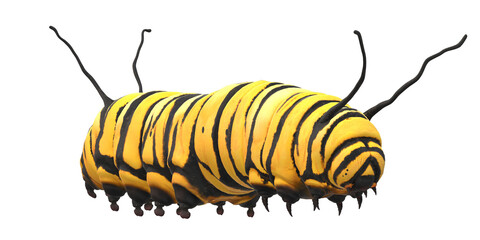 Caterpillar isolated on a Transparent Background