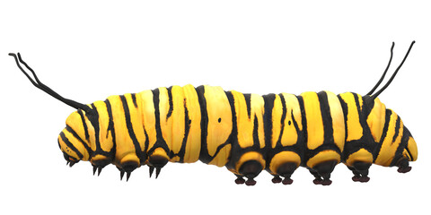 Naklejka premium Caterpillar isolated on a Transparent Background