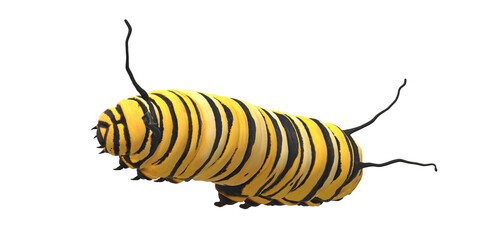 Caterpillar isolated on a Transparent Background