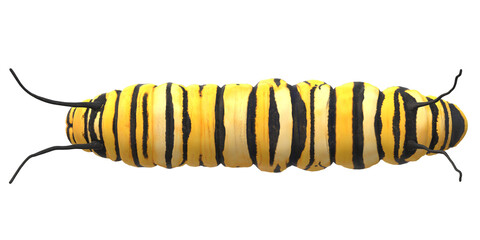 Caterpillar isolated on a Transparent Background