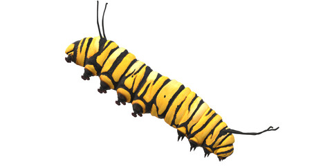 Caterpillar isolated on a Transparent Background