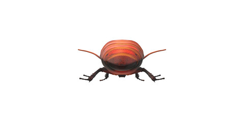 Cockroach isolated on a Transparent Background