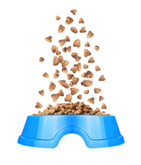 Dry food for cats or dogs falls in a blue plastic bowl isolated on a white background
