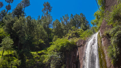 waterfall in the forest