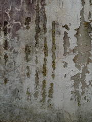 Schäden und Verschmutzungen an der Hauswand