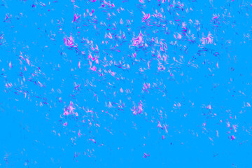 Rose petal confetti against a blue sky background abstract