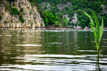 walk the water