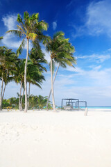 Idyllic Beach with Palm Trees at the Maldives, Indian Ocean