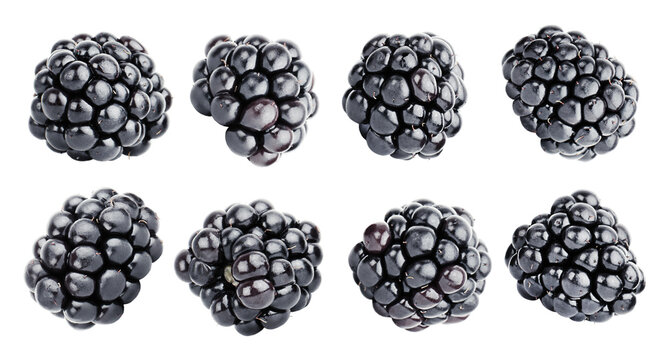 collection of blackberries from different angles on a white isolated background