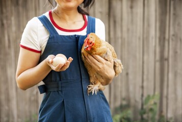 The farmer hugs a hen. pleasant asian woman is hugging a cock in countryside. 
