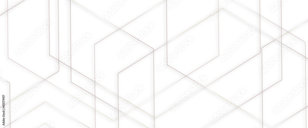 Poster Elegant modern grey line background, abstract grey lines on white background with luxury shapes, modern luxury template design abstract golden lines pattern elements with lighting on grey background.