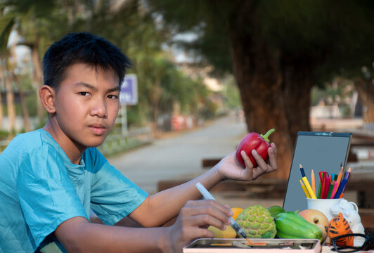 Young Asian boy holds paintbrush and painting red color on red bell pepper model near the pond in the backyard, summer activity of teenager around the world concept.