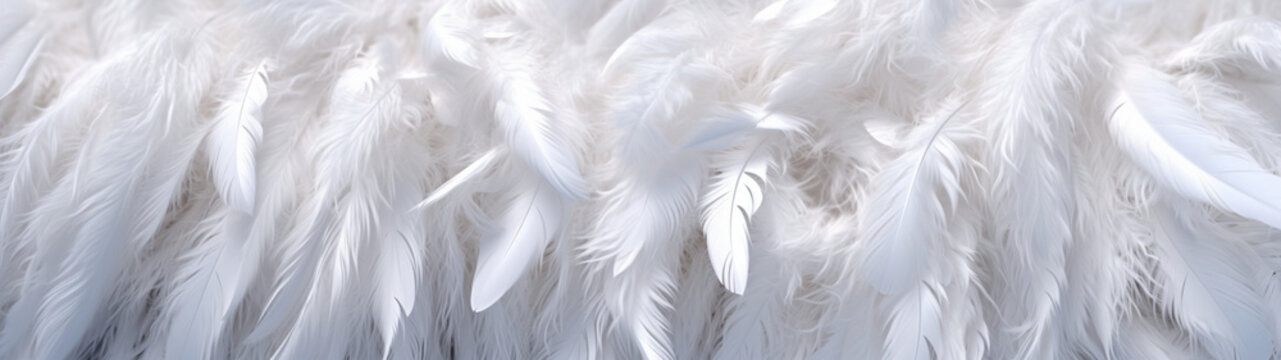 Abstract modern background. White feathers. Banner, backdrop. Generative AI