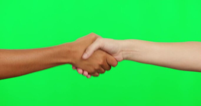 Handshake, people meeting and green screen for welcome, thank you and support, agreement or b2b onboarding. Diversity, thanks or congratulations sign of person shaking hands with partner in studio