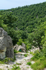 Ancient stone road to the ruins of the Thracian city of Perperikon