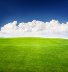 Landscape with green grass field under a blue sky
