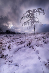 Mountain views of winter landscape