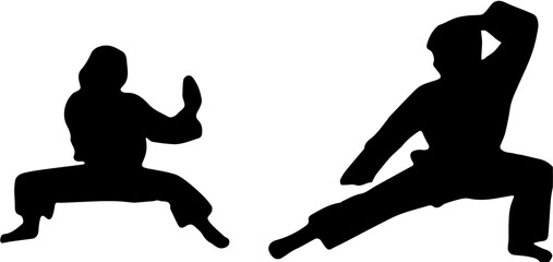 Fototapeta na wymiar silhouette of a person, karate kids