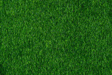 grass field green football field