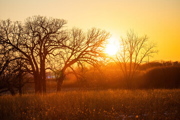 sunrise in the morning