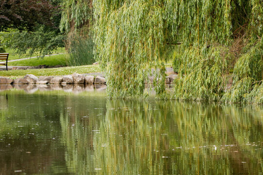 Manito Pond in Spokane, WA
