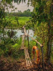 Escape the City Chaos: Experience Tranquility at Tan Lap Floating Village near Ho Chi Minh City, Vietnam