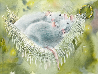 Couple of rats in a hammock in the garden. Watercolor hand drawn illustration
