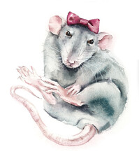 Rats with pink bow. Watercolor hand drawn illustration
