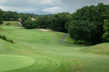 Fototapeta na wymiar Verde campo relvado de golfe com algumas árvores ao fundo num dia muito nublado